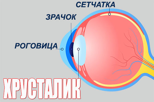 массаж глаз - воздействие на хрусталик при коррекции зрения - кабинет ТиП и ТаБ в Геленджике