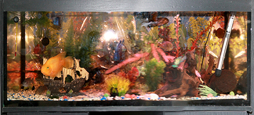 аквариум с рыбками в нашем салоне красоты