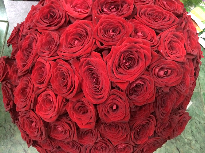 алые розы в Геленджике в магазине СОФИЯ